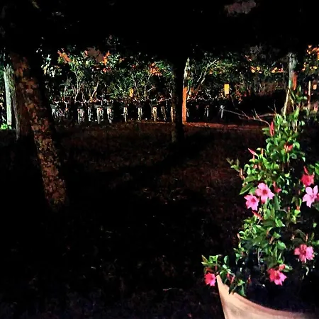 91 Palais Des Gouverneurs Jardin Piscine Couverte Et Exterieure Sauna Hammam Fitness Clim