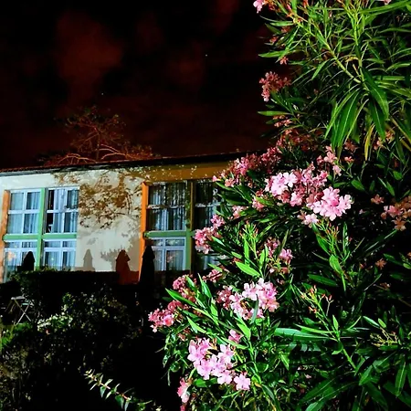 Climatise 91 Palais Des Gouverneurs Jardin Piscine Couverte Et Exterieure Sauna Hammam Fitness *