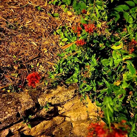 91 Palais Des Gouverneurs Jardin Piscine Couverte Et Exterieure Sauna Hammam Fitness Clim *