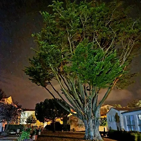 Apartament 91 Palais Des Gouverneurs Jardin Piscine Couverte Et Exterieure Sauna Hammam Fitness Clim *