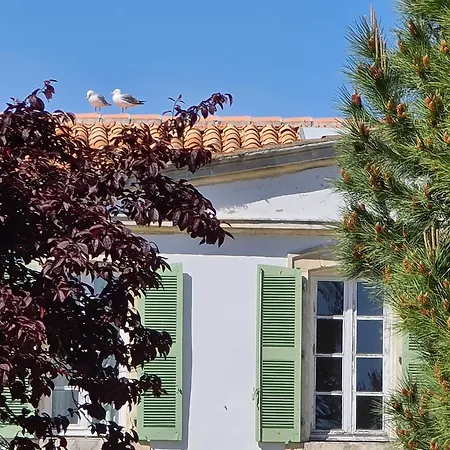 Appartement 91 Palais Des Gouverneurs Jardin Piscine Couverte Et Exterieure Sauna Hammam Fitness Clim